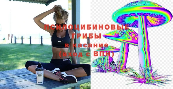 СК Абдулино