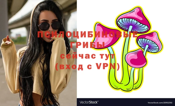 сатива Абаза