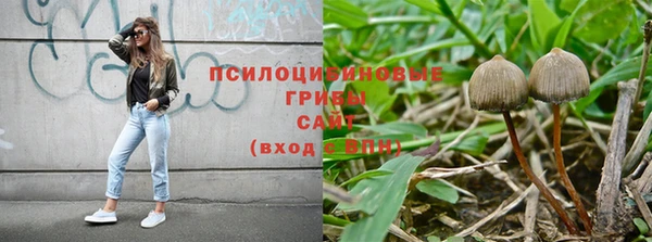 сатива Абаза