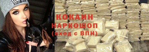 сатива Абаза