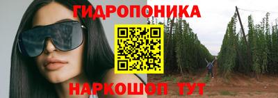 прущие крисы Дубна