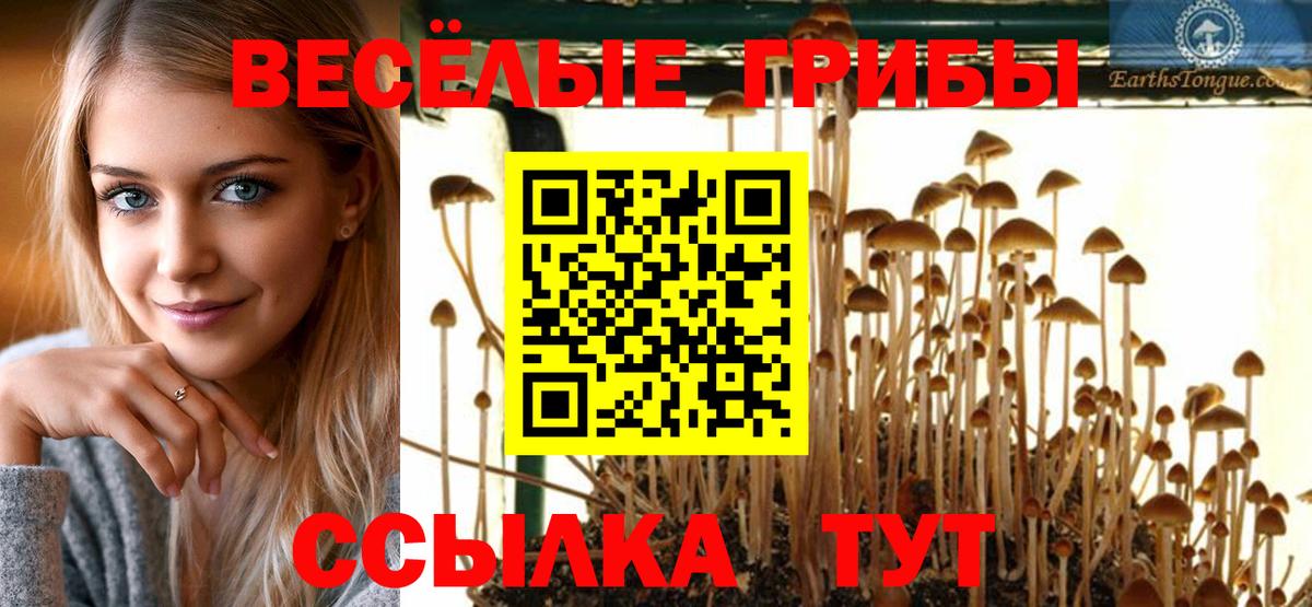 Галлюциногенные грибы мицелий  Галлюциногенные грибы Psilocybine cubensis  Назрань  Вход с VPN 